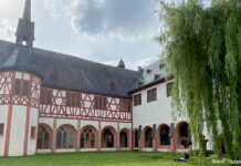 Взгляд в благословенный век