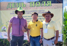 Немецкое – значит лучшее