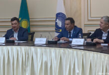 Министр информации и общественного развития РК встретился с активом АНК в Алматы