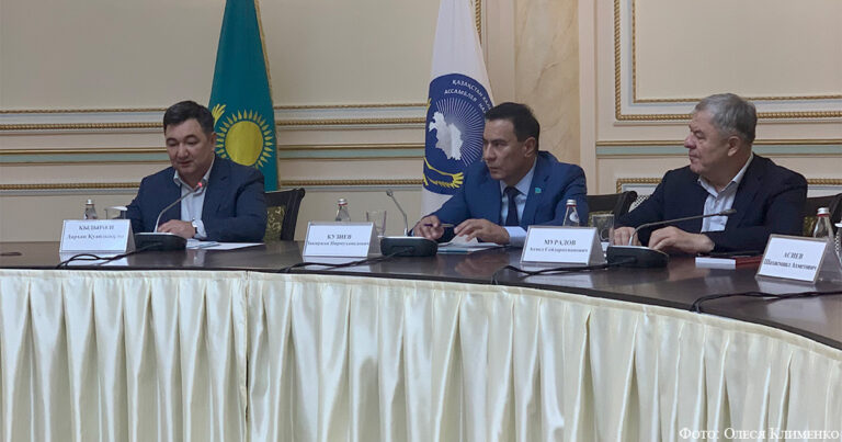 Министр информации и общественного развития РК встретился с активом АНК в Алматы