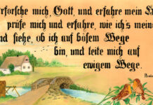 Шпрухи немцев Казахстана: Счастье – что оно? Та же птица