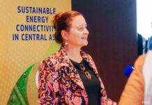 Развитие устойчивой энергетики в Центральной Азии