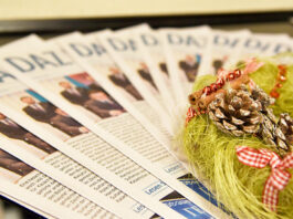 Конкурс «Рождество вместе с DAZ»