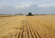 «Ауыл – Ел бесігі»: Қазақстанда 3,5 мың ауыл толығымен жаңғыртылуда