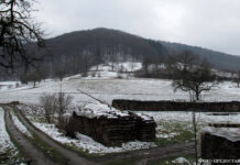 История поисков моих немецких предков из Поволжья – Билл Пикельгаупт Бенсхайм-Гронау, немецкая деревня, из которой семья Пикельгаупт переехала в Россию.