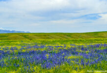 Решая проблемы земельных ресурсов Евразийского региона