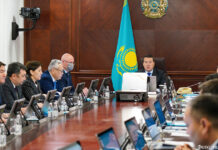 Жағдайды дұрыс бағалап, кез келген апаттың алдын алуға барлық күш-жігерді жұмсау керек – Әлихан Смайылов табиғи өрттерге қарсы әрекет ету туралы