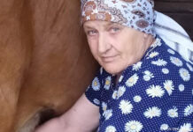 Жить по совести, работать от души