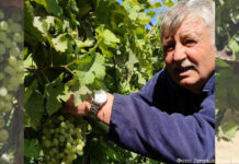 Я б в строители пошёл…