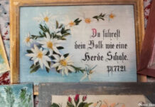 Шпрухи жаңа жолмен