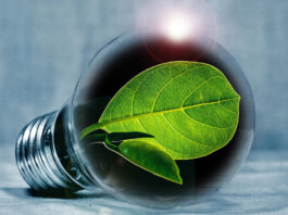 GIZ объявляет о вакансии