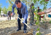 Жанакорганцы принимают активное участие в неделе «ЖАСЫЛ АЙМАҚ»