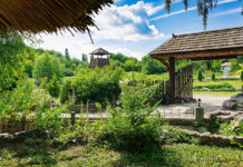 Объявляется открытый конкурс на оказание комплекса услуг