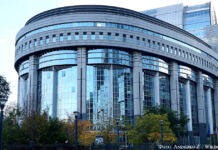 Выборы в Европарламент: главное