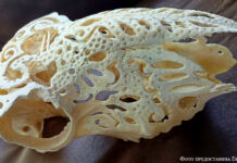 Кощеево царство в ракурсе диковинных «малых форм»