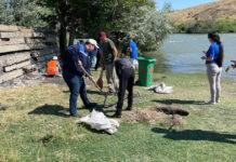 В Жамбылской области в рамках акции «Таза Қазақстан» проведена масштабная работа