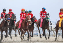 Отбор на Всемирные игры кочевников по байге стартует в Павлодаре