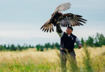 Лучших ловчих птиц готовят для участия во Всемирных играх кочевников