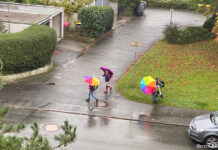 Переезд как он есть: золотой листопад