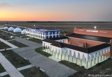 Бельгер в тургайской степи