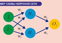 Информатика Александра Шерцера: Нейронная сеть