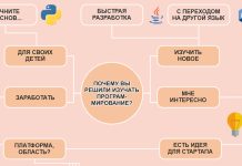 Информатика Александра Шерцера: Система программирования