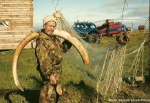 Северный полюс Владимира Эйснера Северный полюс Владимира Эйснера