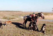 Добро степи: как сохраняют уникальную породу собак