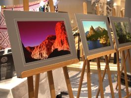 Выставка в Берлине в честь 35-летия Декларации о государственном суверенитете Казахстана