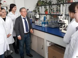 «Искусственный интеллект: эволюция мысли и будущее человечества»