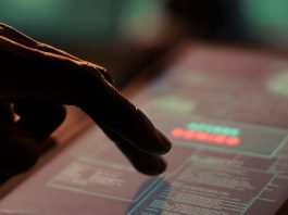 Совместная операция Казахстана и ФРГ: задержан подозреваемый в киберпреступлениях