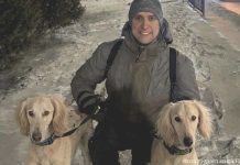 Ген преданности человеку