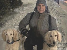 Ген преданности человеку