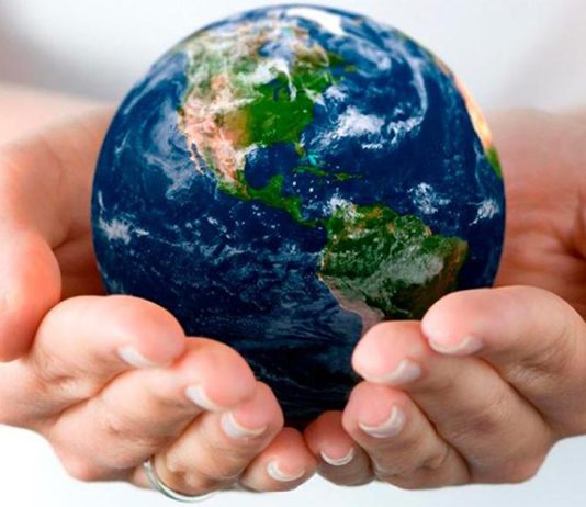 Григорий Вингертер: «Экологии нужен омбудсмен»