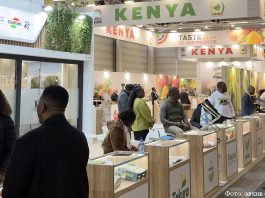 Фруктовая логистика: в Берлин… за семенами!