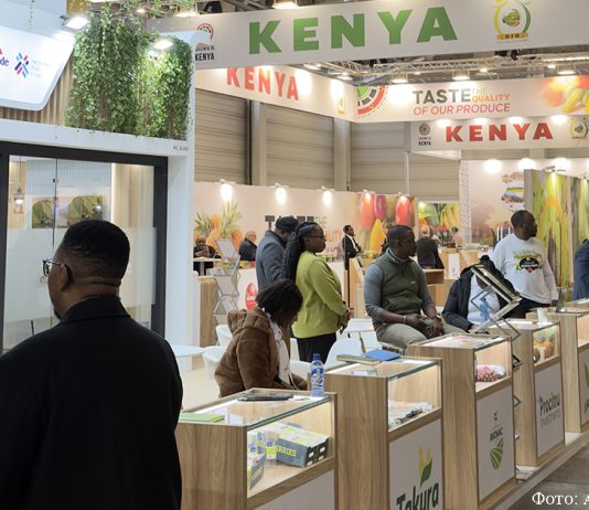 Фруктовая логистика: в Берлин… за семенами!