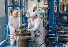 Экспертиза безопасности: НЯЦ РК о перспективах казахстанской АЭС