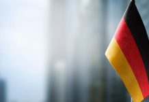 Электоральный цикл: как я выбирала партию мира