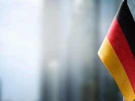 Электоральный цикл: как я выбирала партию мира