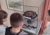 О чём рассказывают реликвии немецких семей Денисовского района