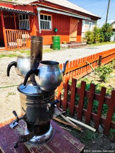 во дворе дома Ирины Фишбух