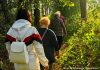 “Heilklimatisches Wandern” по-риддерски