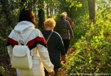 “Heilklimatisches Wandern” по-риддерски