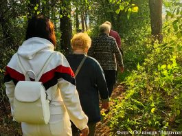 “Heilklimatisches Wandern” по-риддерски