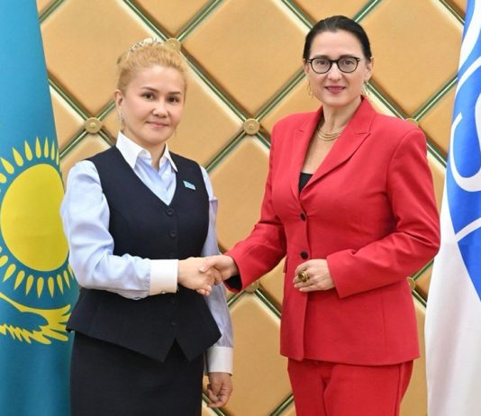 В Курултае обсудили перспективы сотрудничества с Парламентской ассамблеей ОБСЕ