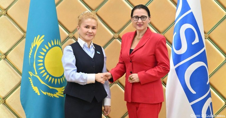В Курултае обсудили перспективы сотрудничества с Парламентской ассамблеей ОБСЕ