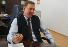 От виноградника до управления: ИИ в современном производстве