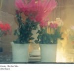Blumenkasten