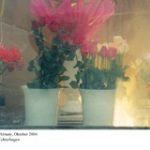 Blumenkasten_m