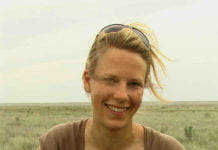 Knautschnasen vor dem Kollaps